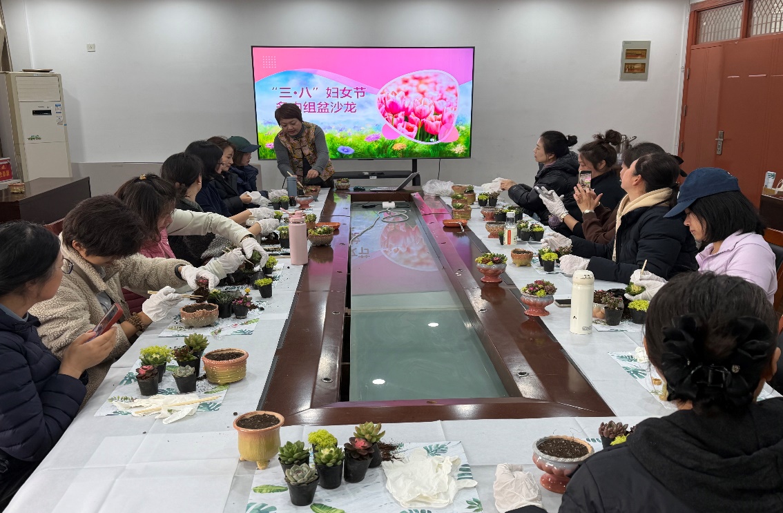 巧手植绿意&nbsp;悦心绽芳华——南京...