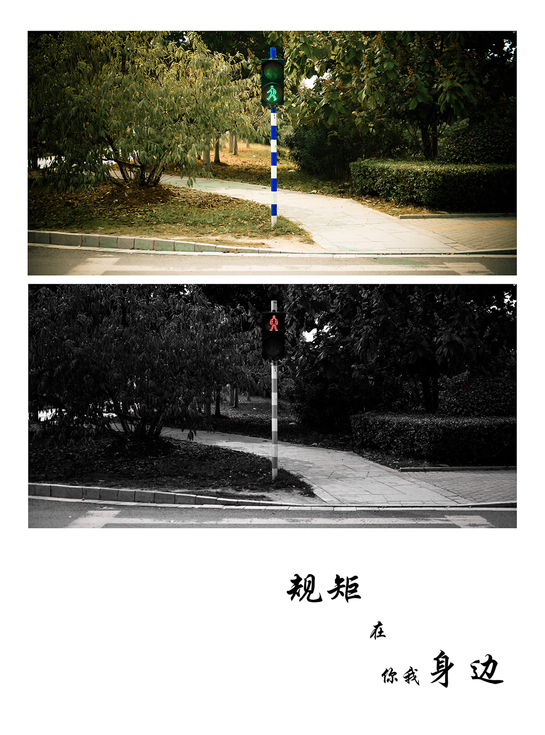 吴瑾创作的作品